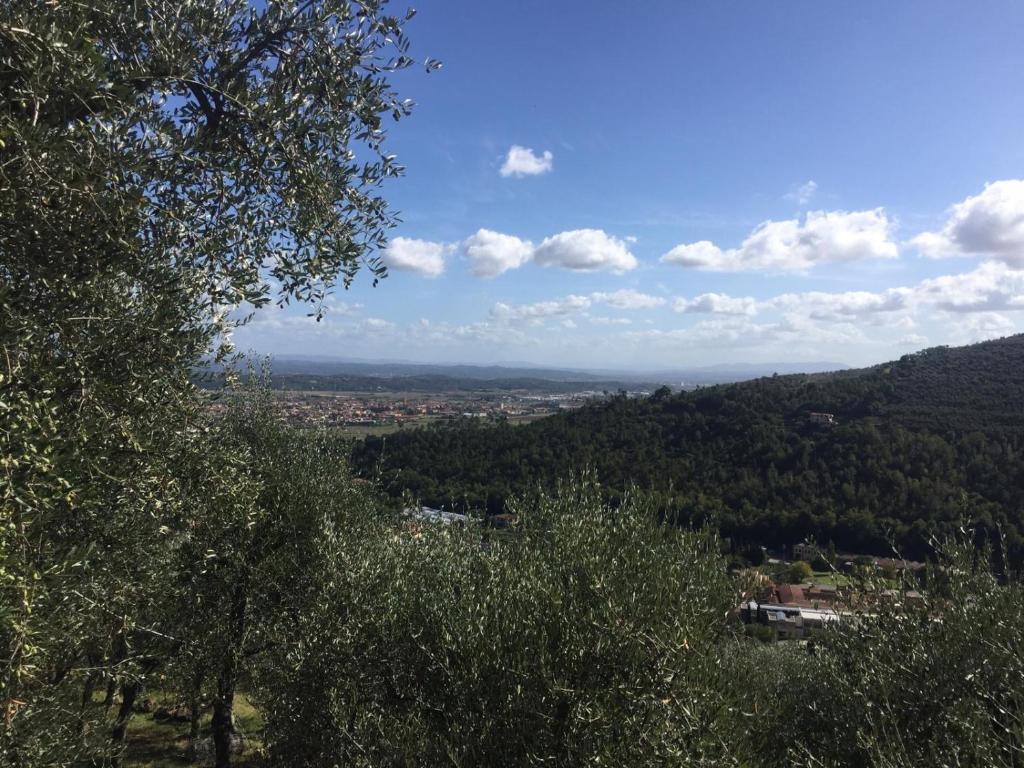 Casale l’oliveta photo 3