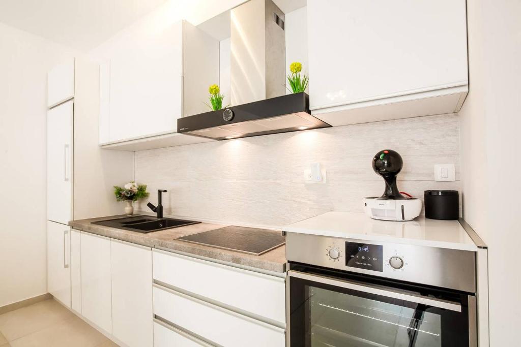 Lux Apartment Teodora Rafailovici photo 3