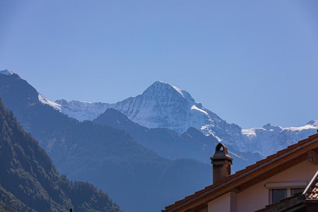 Chalet Gousweid- Schilthorn Apartment photo 2