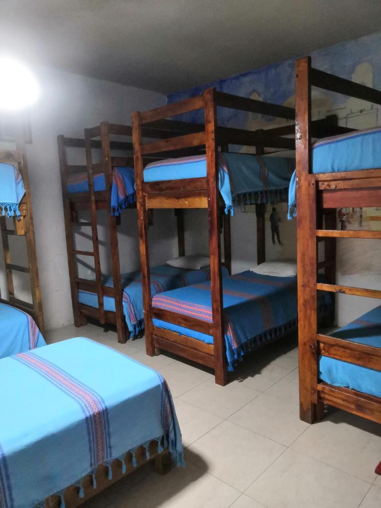 Hostal Oaxaca Magic photo 3