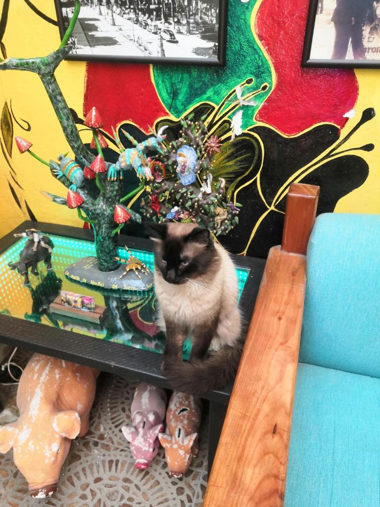 Hostal Oaxaca Magic photo 1