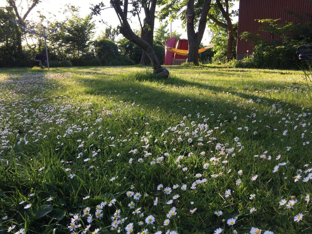 B & B Langagergaard photo 3