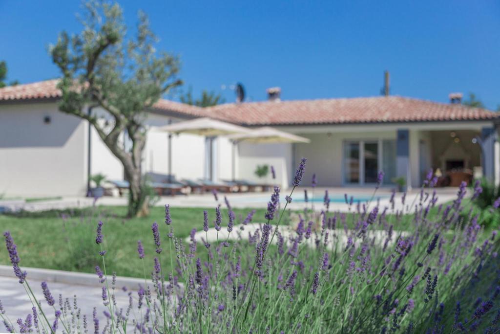 Cozy villa Cristalines with private pool near Pula