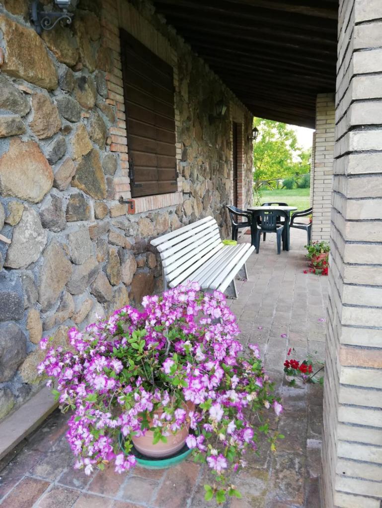 Agriturismo Il Morello photo 4