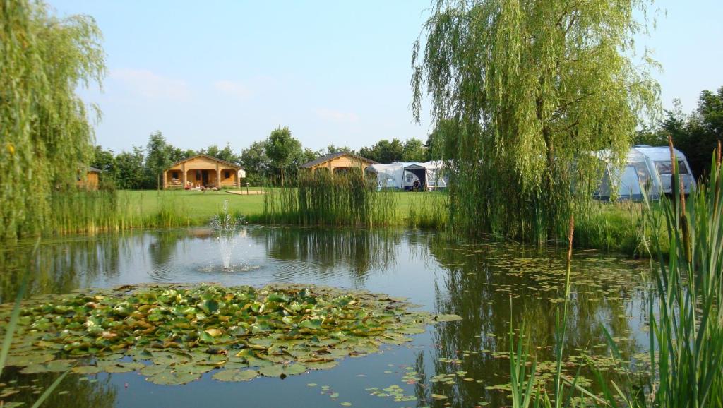 Vakantie-Oord "De Hulsdonken" photo 4