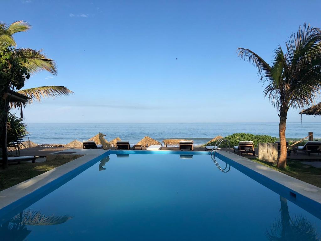 Los Cocos de Vichayito photo 1