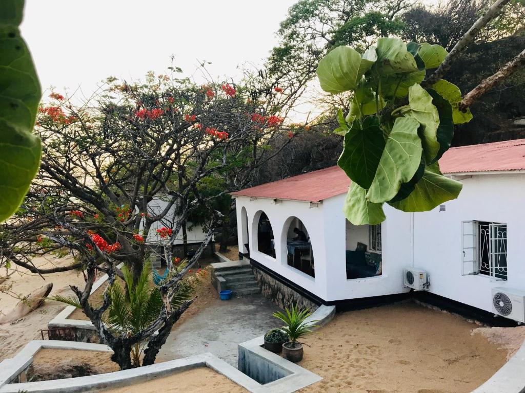 Kuwona Cottage photo 1