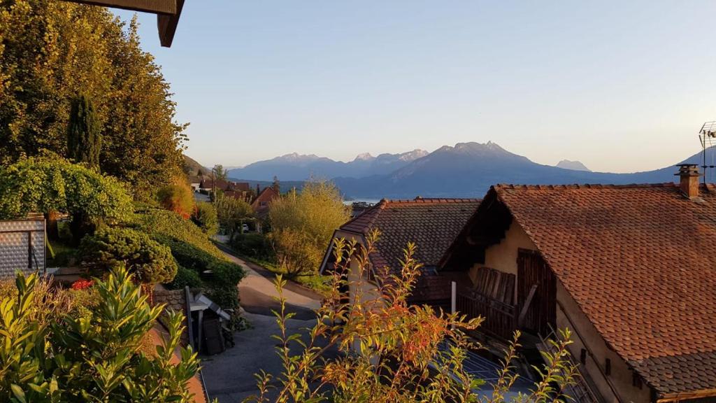 Angel Services - LE COTTAGE DE VEYRIER photo 2