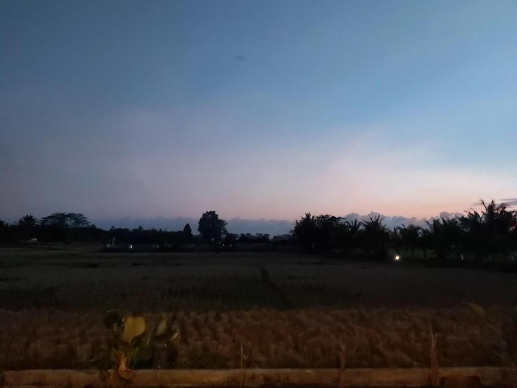 Двухместный (Улучшенный двухместный номер с 2 отдельными кроватями), Ayuna Family Ubud