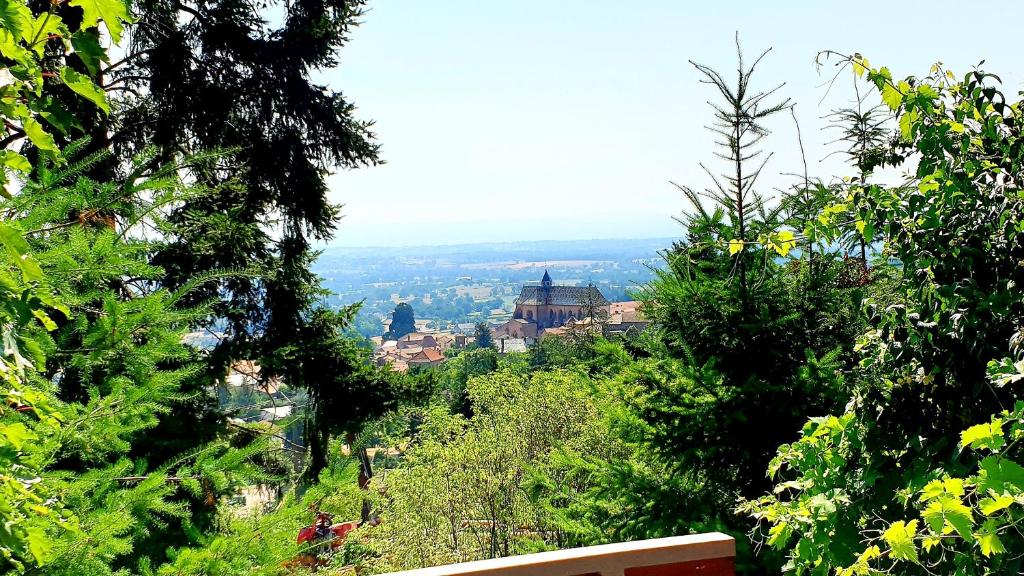 La Villa du Chatelard photo 3