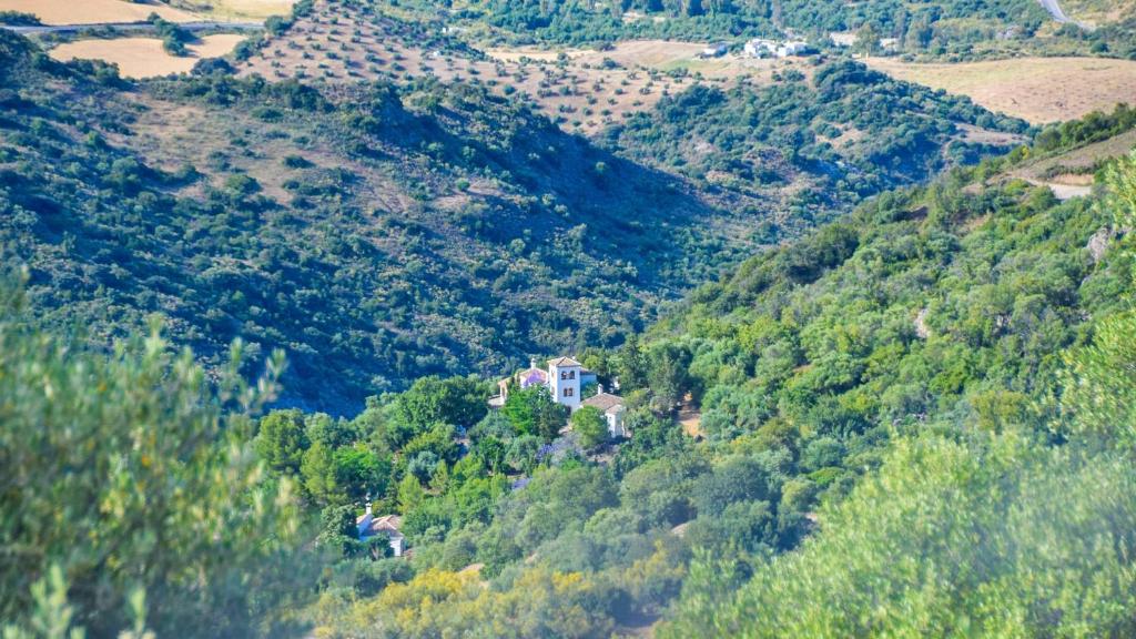 Casas Rurales Los Algarrobales photo 4