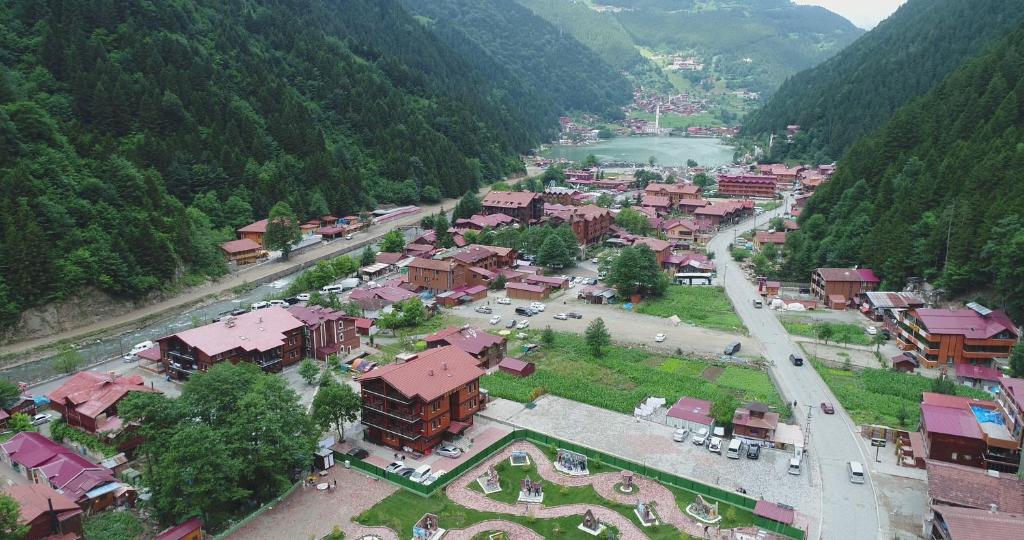 Nova Uzungöl photo 3