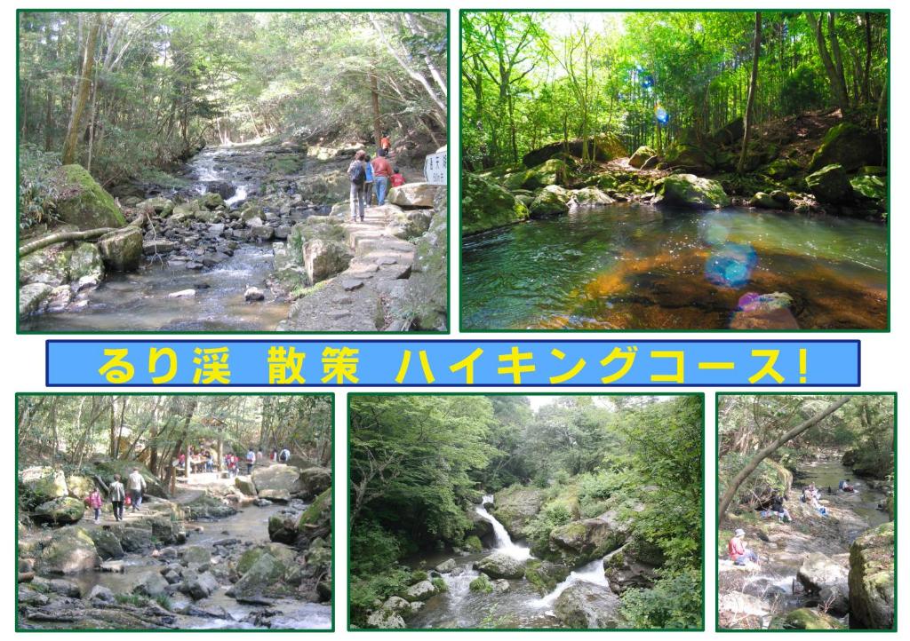 Rurikei Forest Cottage photo 1