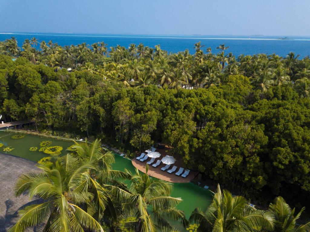Dreamland Maldives Resort photo 1