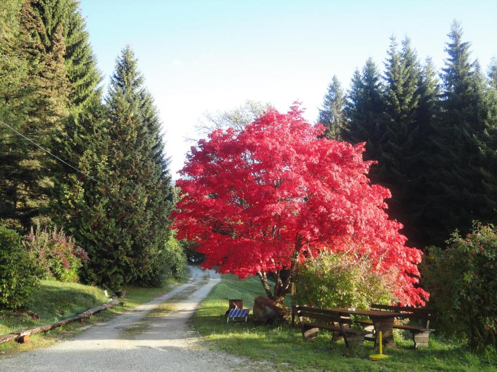 Ferienhaus Hollinger photo 4