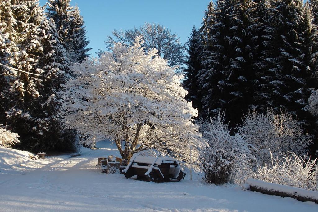 Ferienhaus Hollinger photo 2