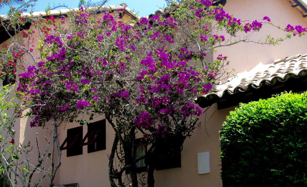 Casa Pontal do Atalaia photo 2