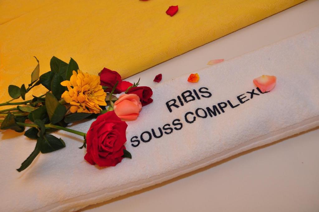 Hotel Ribis photo 1