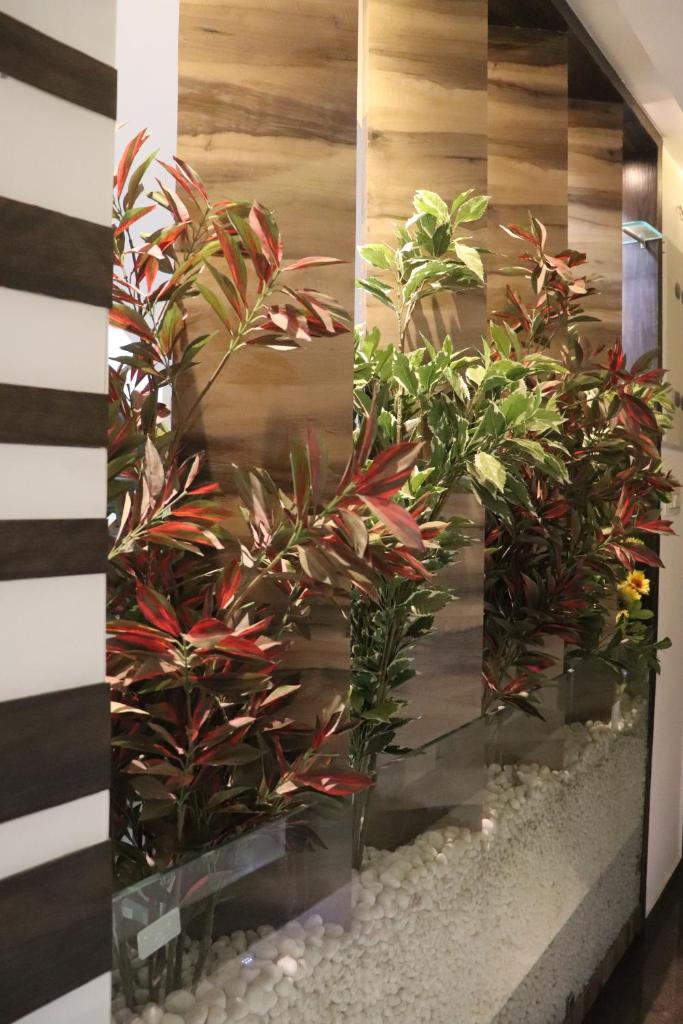 Hotel Park Residency photo 3