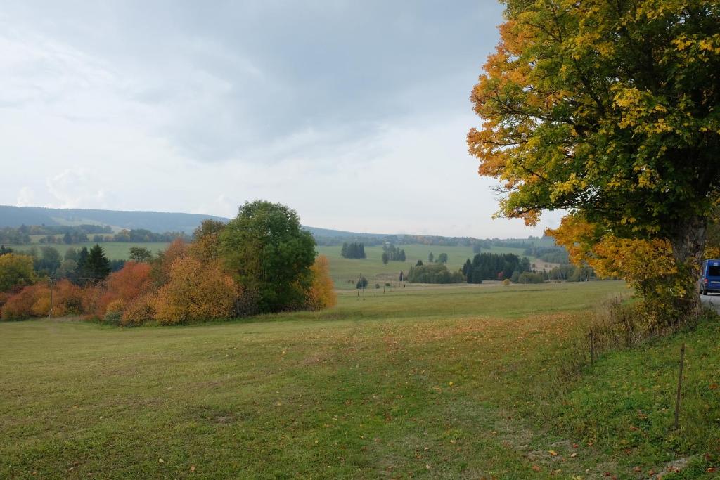 Apartmány Nové Hutě photo 2