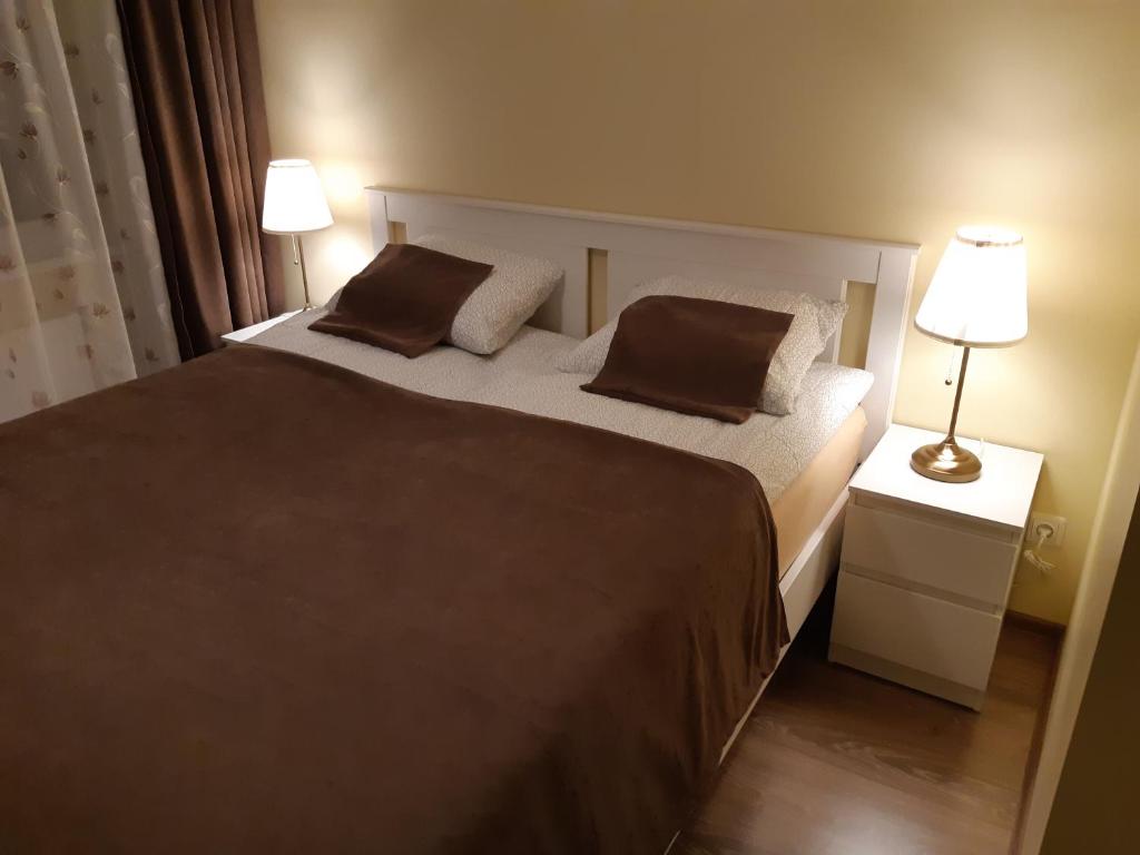 Sauliaus apartamentai VIP photo 3
