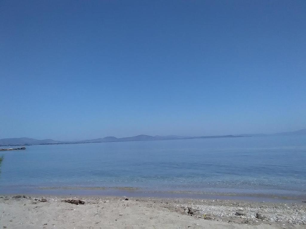Beach Cottage Elena photo 3