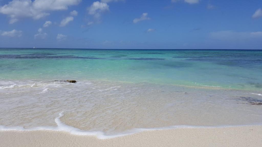 Appartamento Cadaques Bayahibe photo 3