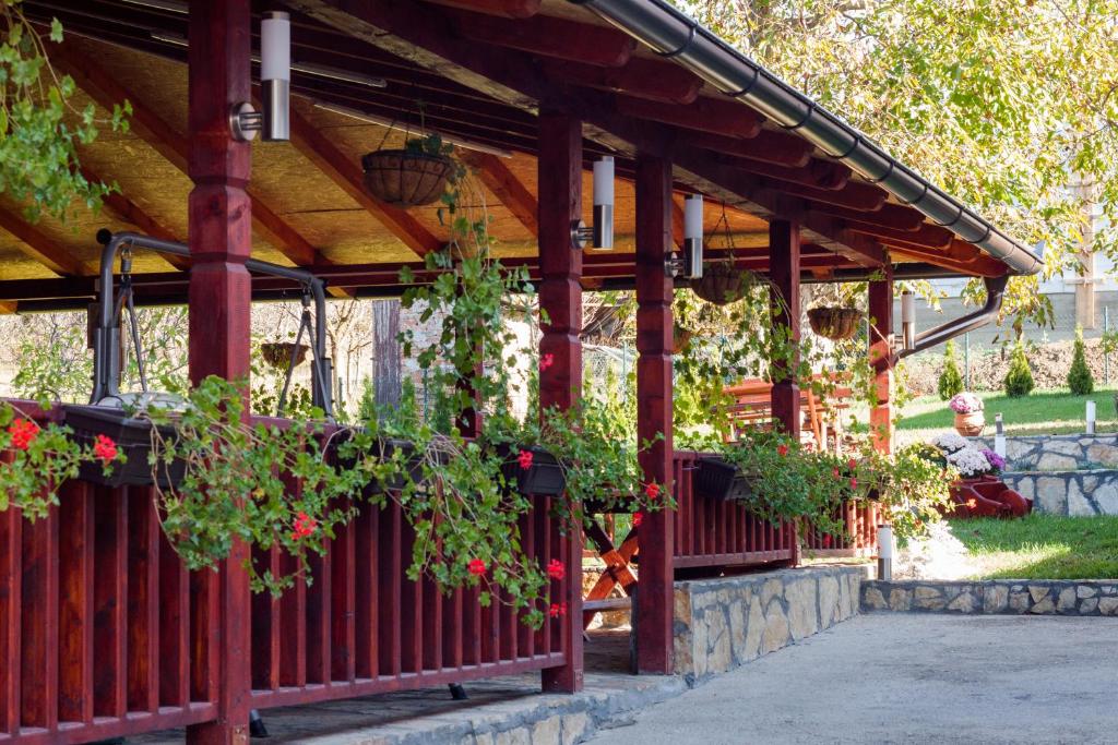 Apartmani Bojana photo 1