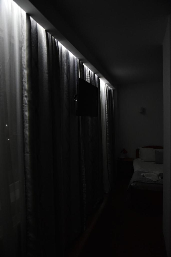 Одноместный (Одноместный номер), Hotel Magurele