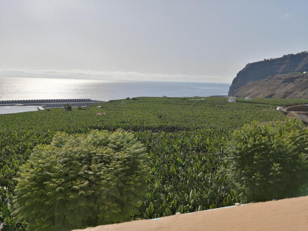 Quinta Miramar photo 2