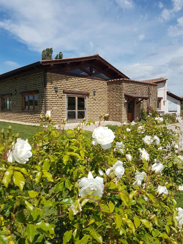 Agriturismo Podere Farnesiana photo 4