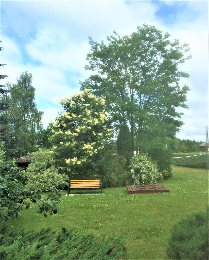 The Green House photo 3
