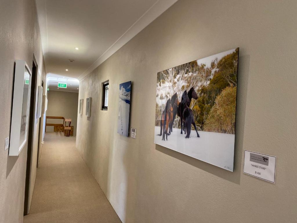 Jindy Inn photo 4