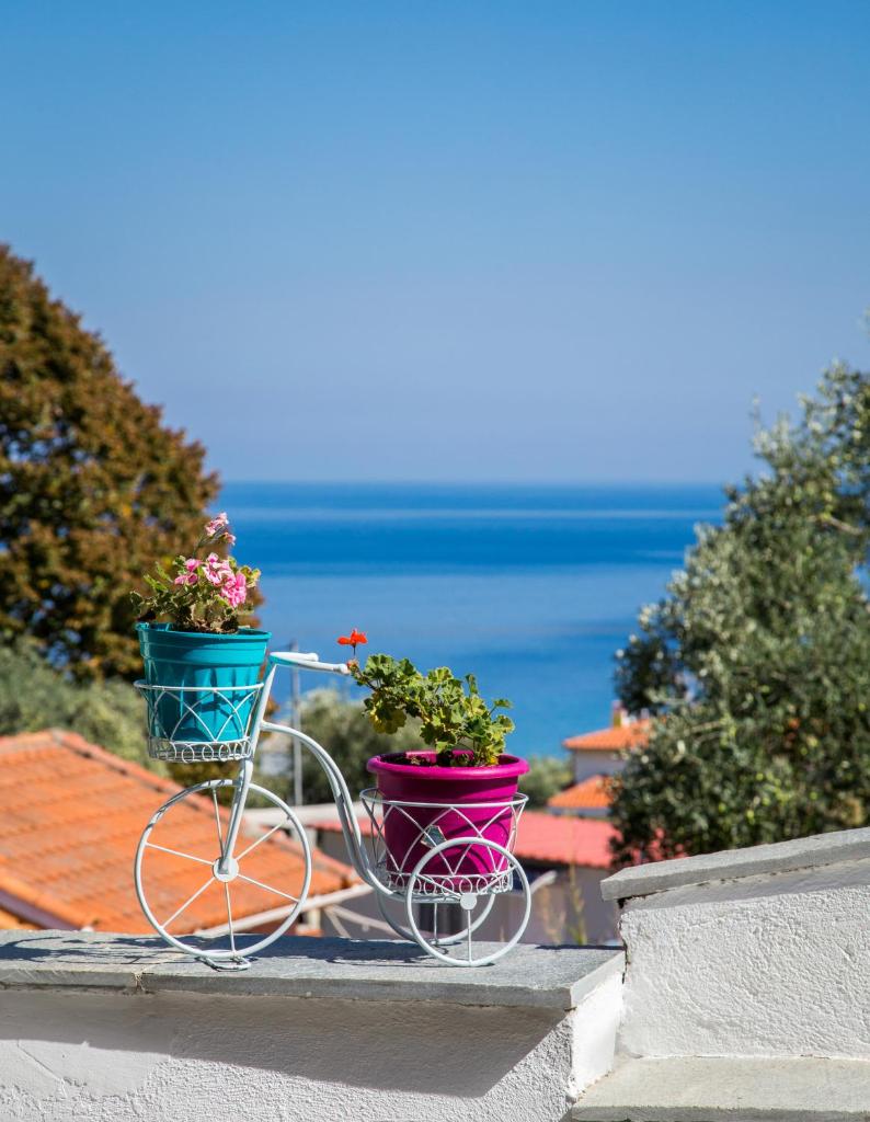 Vista Del Mare Luxury Villa photo 3