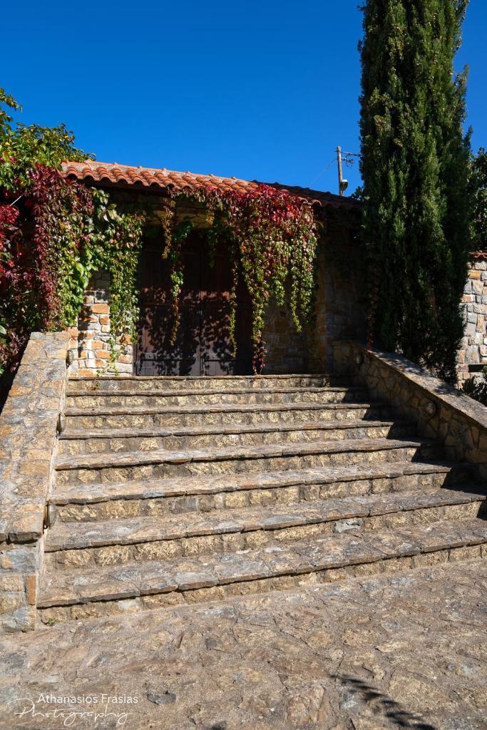Villa Luxury Paradise Kastoria photo 4