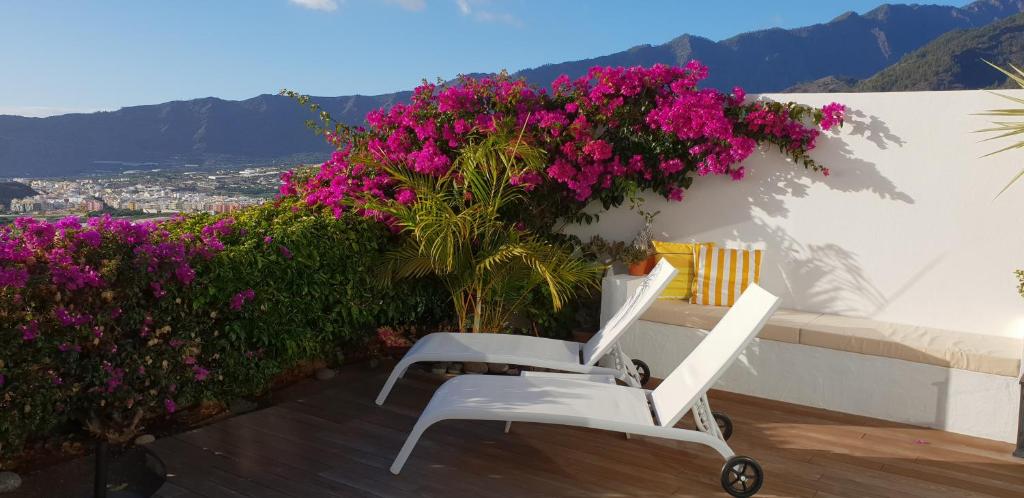 Bungalow La Datura photo 3