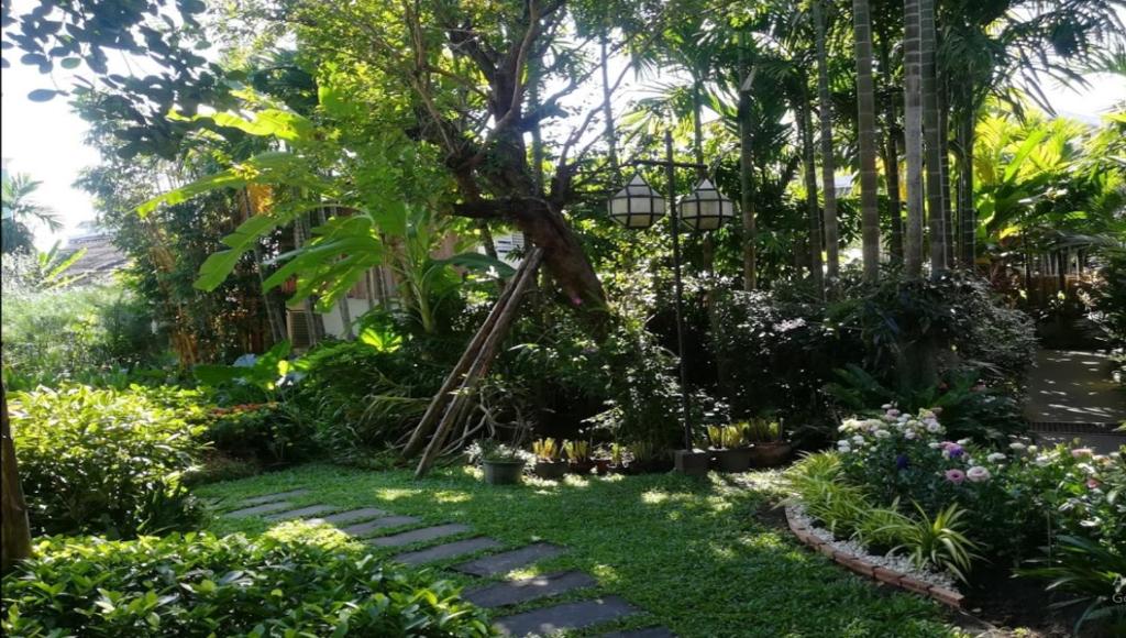 Viang Thapae Resort- SHA Extra Plus photo 1
