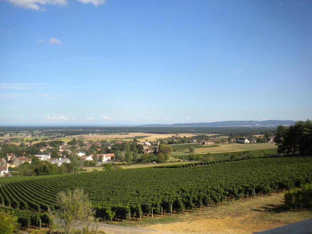Le Mont Laurent photo 4