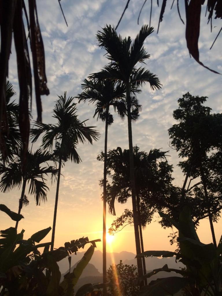 PULUONG BOUTIQUE GARDEN