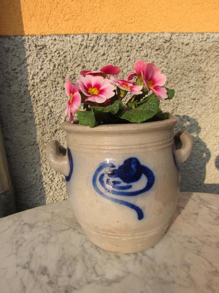 Gîte Le Vigneron photo 1
