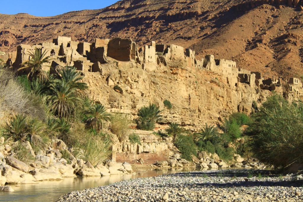 Oasis travel photo 2