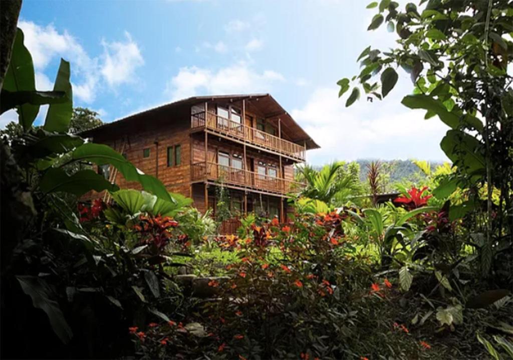 Mindo Green House photo 1