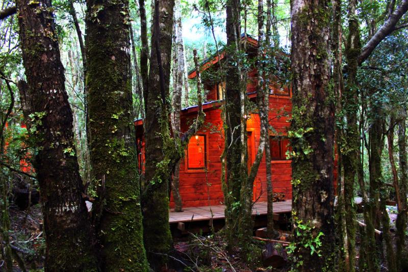 Cabañas Bosque Milenario photo 2