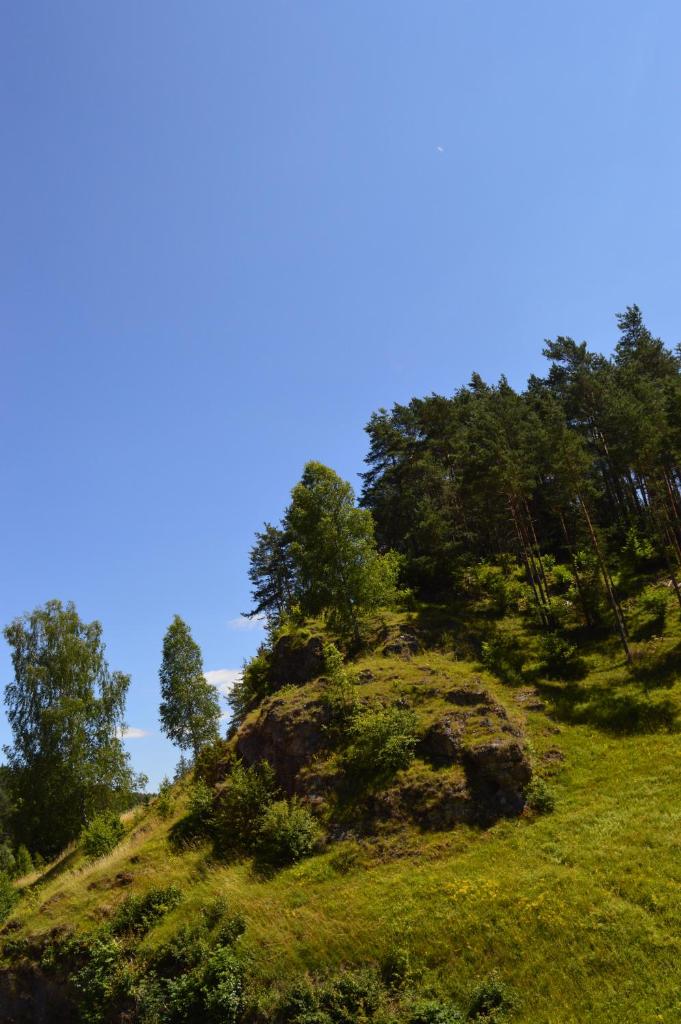 Natur-Aktiv-Hof Thiem photo 4