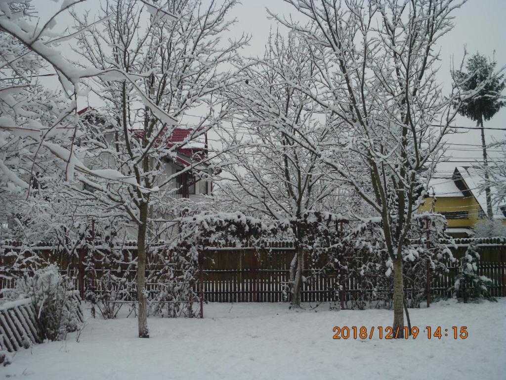 Vila Mihaela photo 1