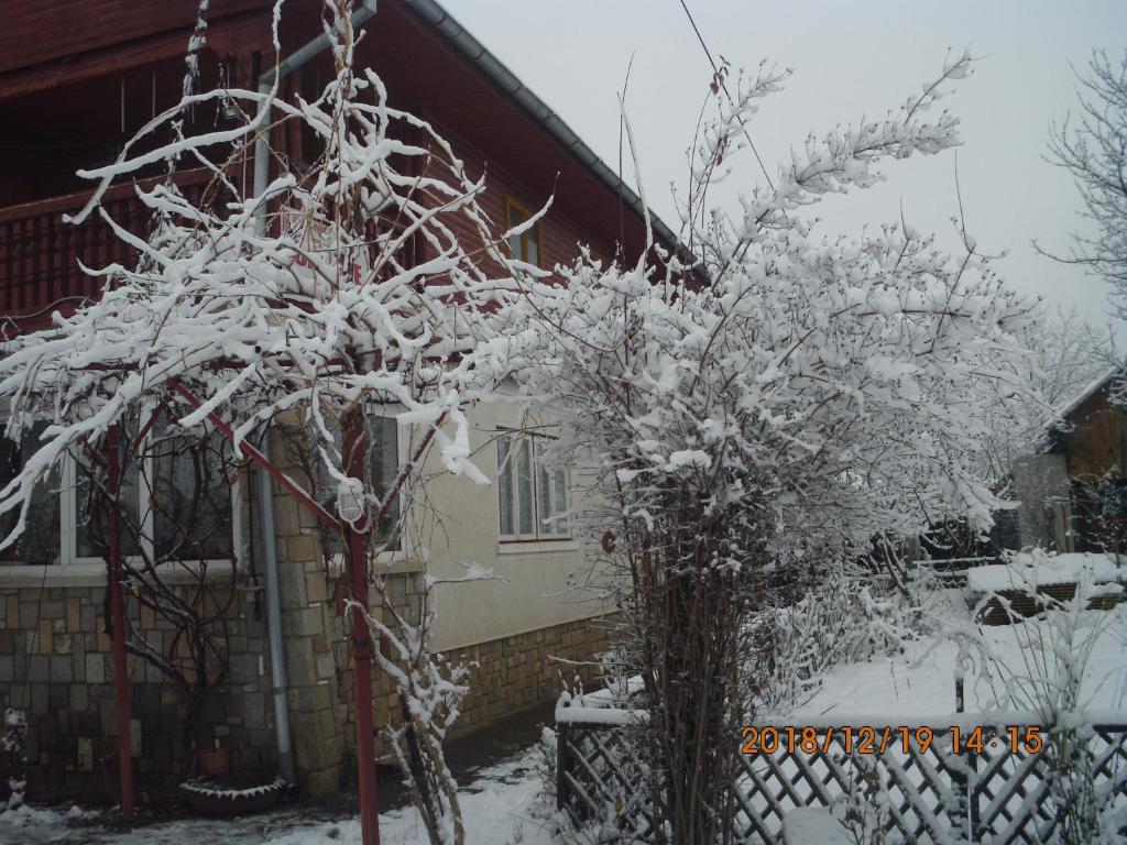 Vila Mihaela photo 2