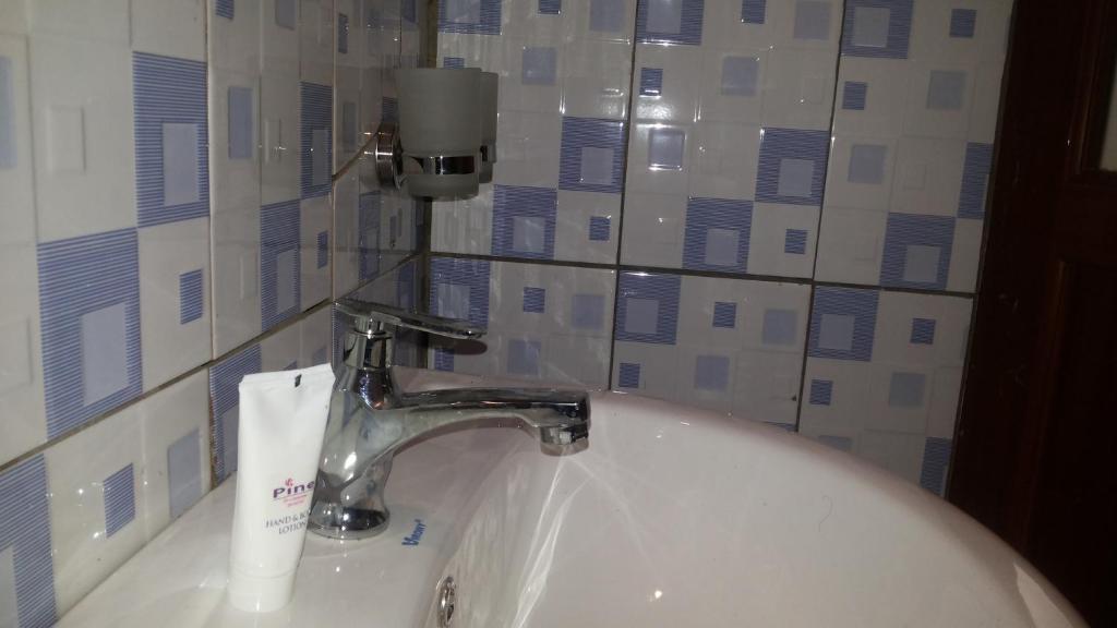 Hotel Skypa photo 4