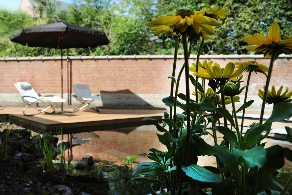 Charmehotel Villa Saporis photo 1