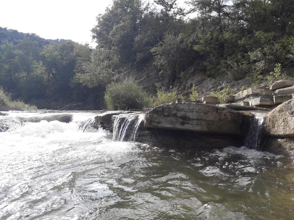 B&B Barbaia photo 2