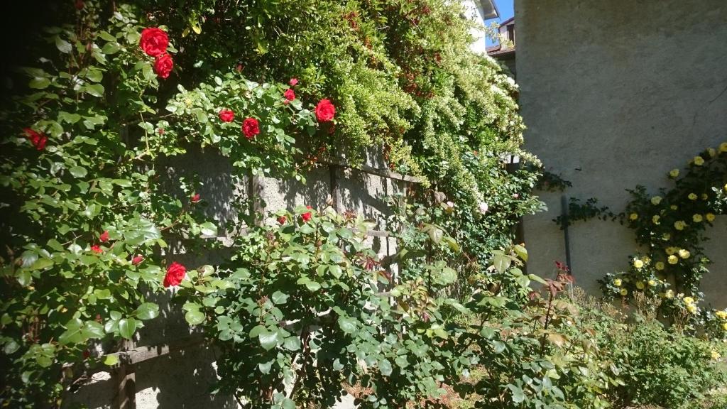 B&B Barbaia photo 1
